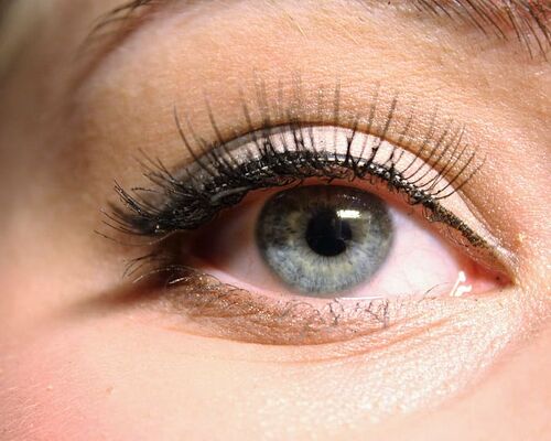 the-eye-blue-false-lashes-eyelashes